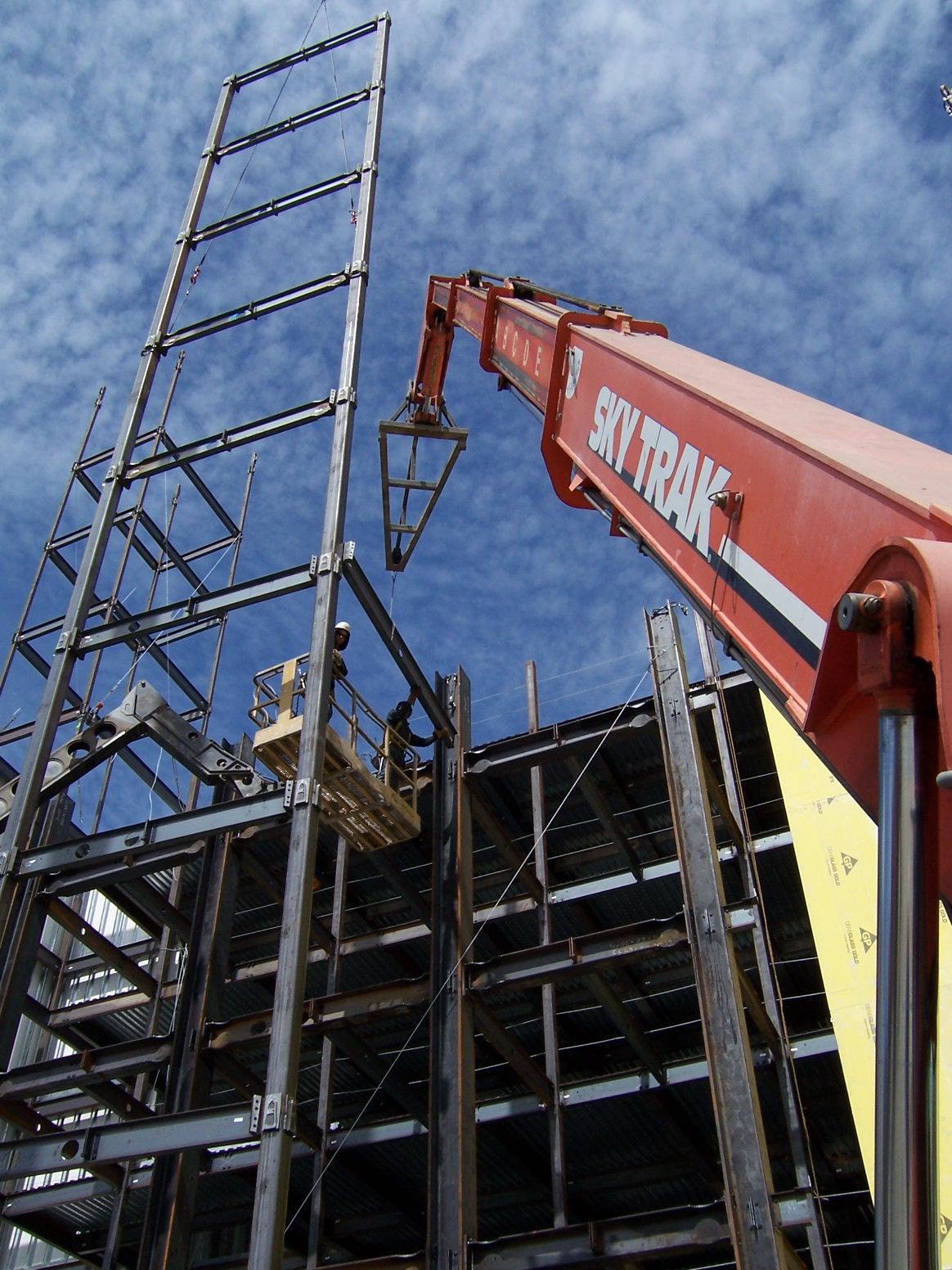 091406 8 Orchids 019