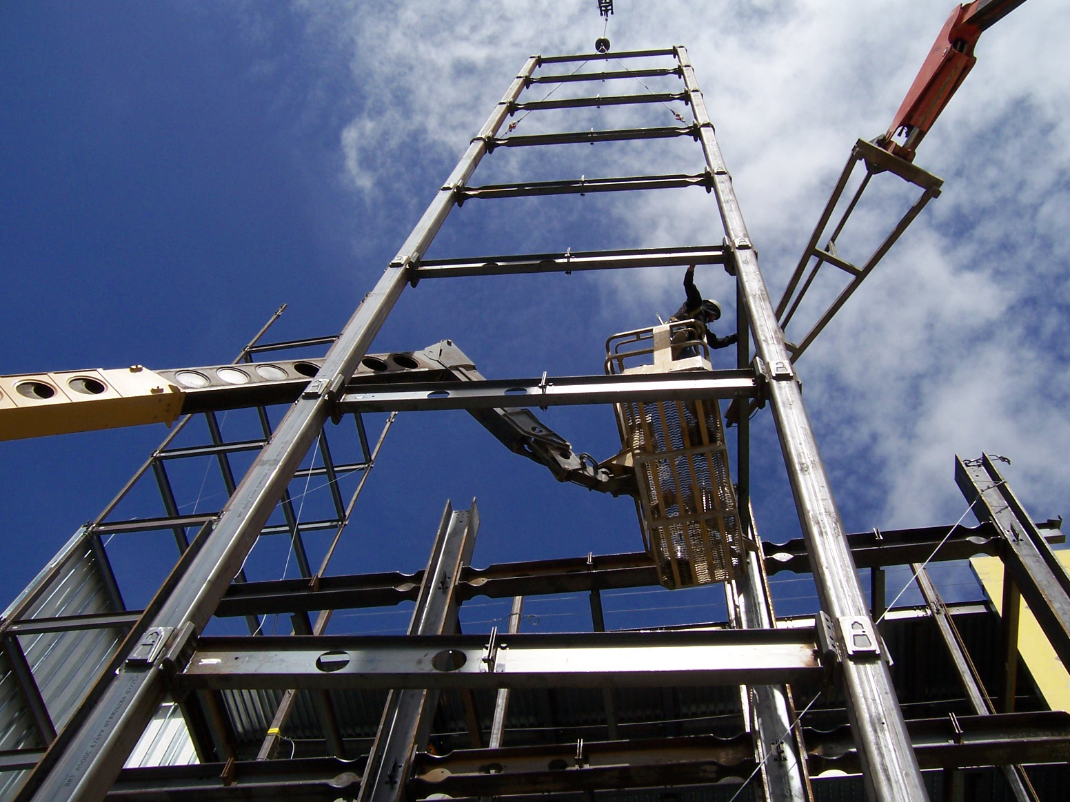 091406 8 Orchids 020