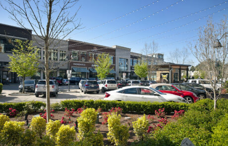 Projects-HeroImage-TheVillageTotemLake